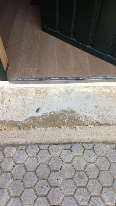 شقة Loft Acogedor إشبيلية المظهر الخارجي الصورة